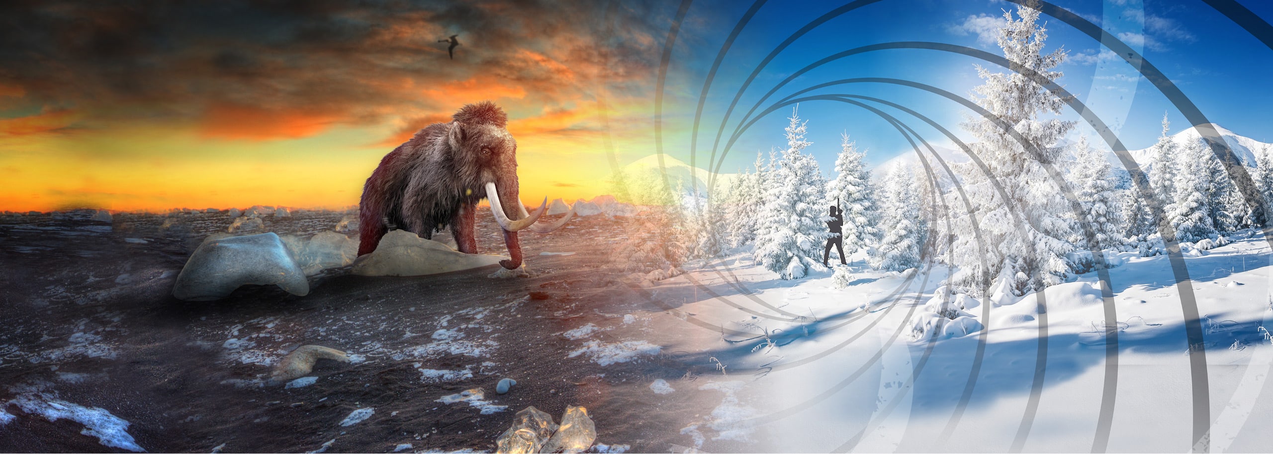 The Escapologist Castleford